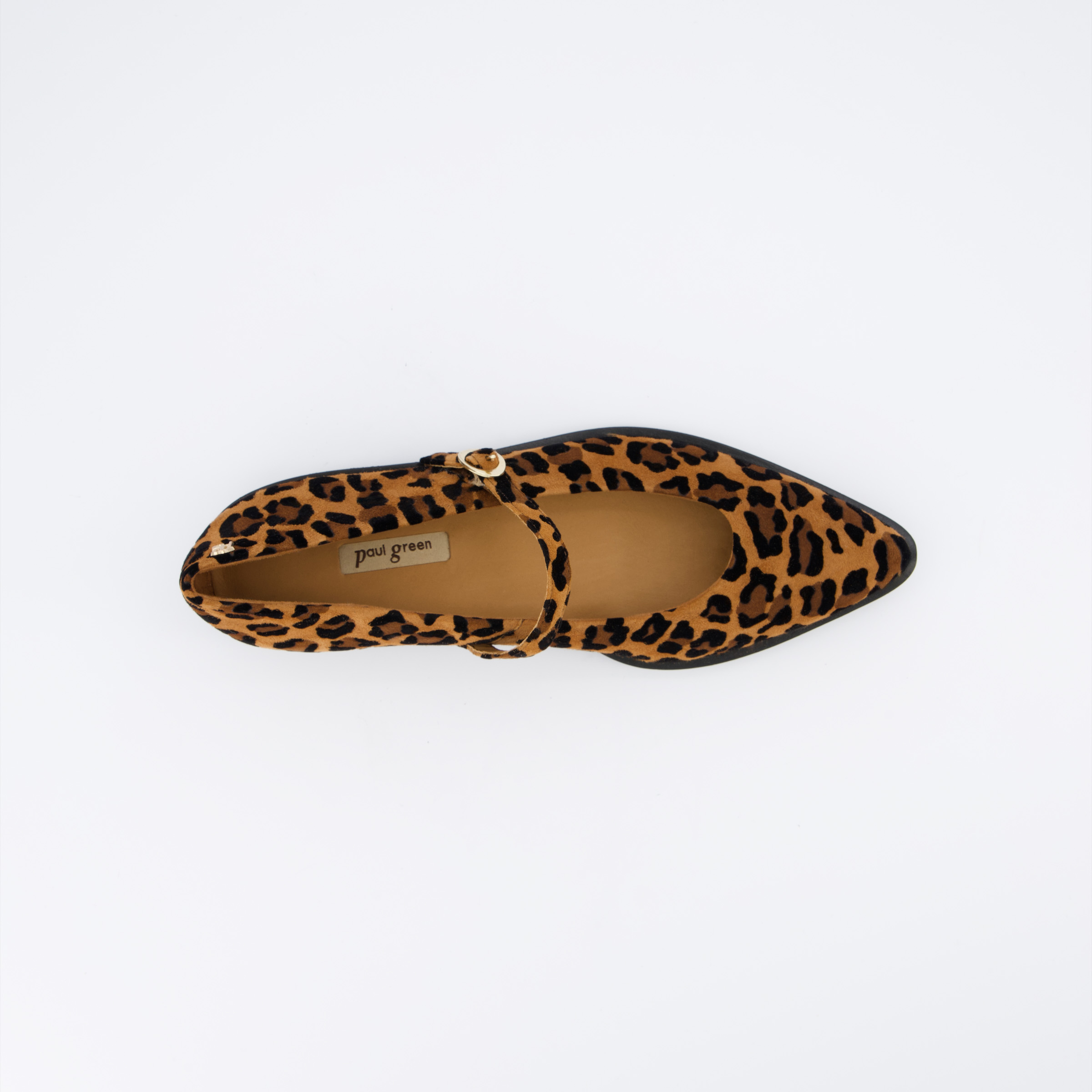Paul green leopard pumps new arrivals